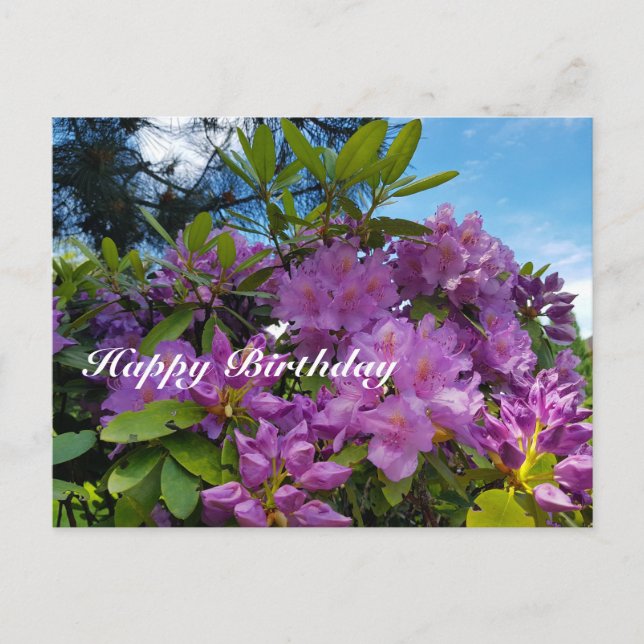 Cartes Pour Fêtes Annuelles Rhododendron florissant Joyeux anniversaire (Devant)
