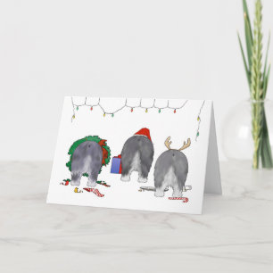 Cartes Pour Fêtes Annuelles Rien n'aboutent Noël de chien de berger