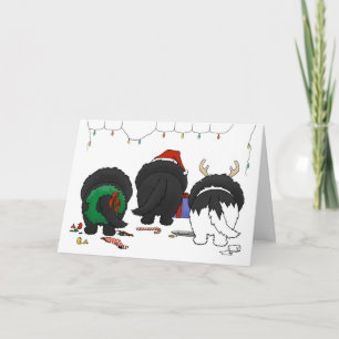 Cartes Pour Fêtes Annuelles Rien n'aboutent Noël de Newfie