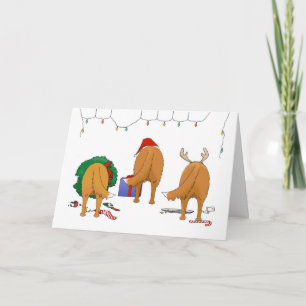 Cartes Pour Fêtes Annuelles Rien n'aboutent Noël de Toller
