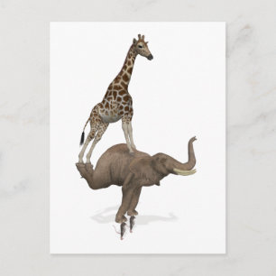Cartes Pour Fêtes Annuelles Rien Ne Semble Impossible Pour Les Meilleurs Amis
