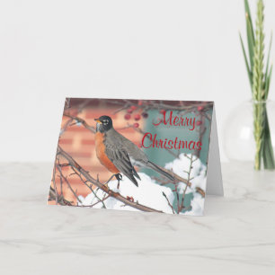 Cartes Pour Fêtes Annuelles Robin américain en hiver
