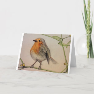 Cartes Pour Fêtes Annuelles Robin Christmas