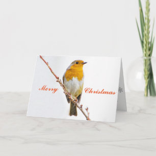 Cartes Pour Fêtes Annuelles Robin Redsein.