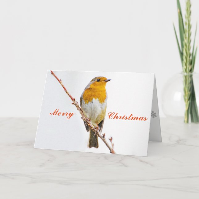 Cartes Pour Fêtes Annuelles Robin Redsein. (Devant)