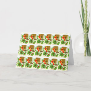 Cartes Pour Fêtes Annuelles Robins