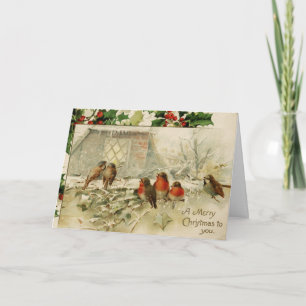 Cartes Pour Fêtes Annuelles Robins de bébé adorables de Noël