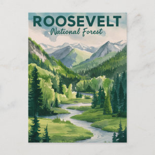 Cartes Pour Fêtes Annuelles Roosevelt National Forest Watercolor Travel