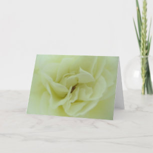 Cartes Pour Fêtes Annuelles Rose blanc - le coeur de l'ange