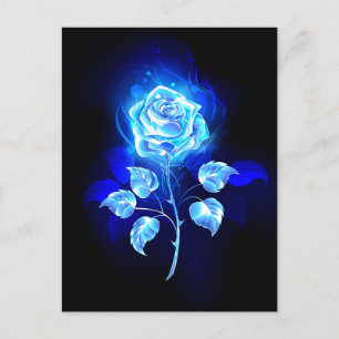 Cartes Pour Fêtes Annuelles Rose bleue