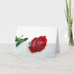 Cartes Pour Fêtes Annuelles Rose de Winter