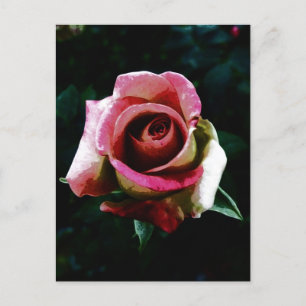 Cartes Pour Fêtes Annuelles Rose rouge peinte à l'huile