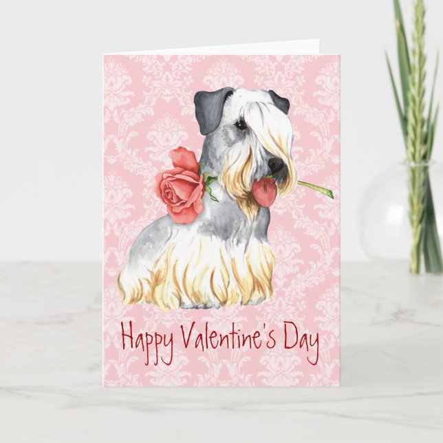Cartes Pour Fêtes Annuelles Rose Valentin Cesky Terrier (Devant)