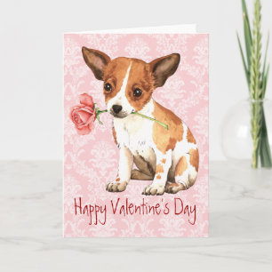 Cartes Pour Fêtes Annuelles Rose Valentin Chihuahua