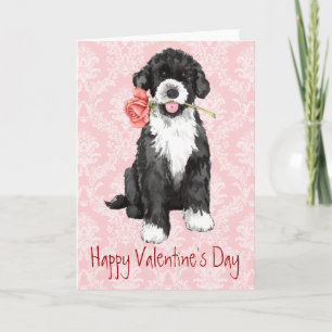 Cartes Pour Fêtes Annuelles Rose Valentine PWD