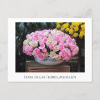 Roses à la Feria de las Flores à Medellín