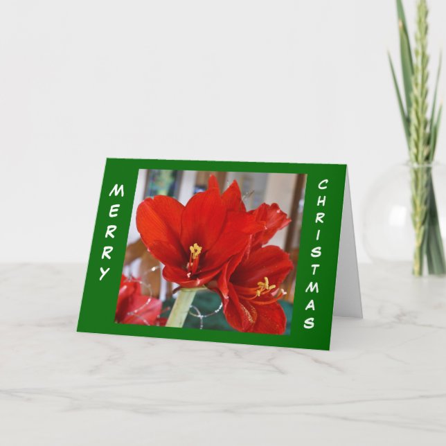 Cartes Pour Fêtes Annuelles Rouge Amaryllis (Devant)