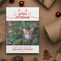 Rouge blanc Meowy Noël - Photo de Noël de chat