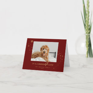 Cartes Pour Fêtes Annuelles Rouge épicé C'est une merveilleFUR vie animal Noël