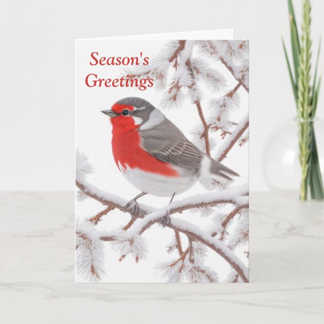 Cartes Pour Fêtes Annuelles Rouge Robin des Neiges (Devant)