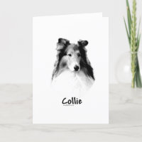Rough Collie Charbon