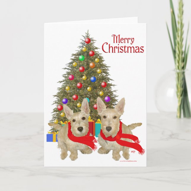 Cartes Pour Fêtes Annuelles Roulette écossaise Terrier Chirstmas (Devant)