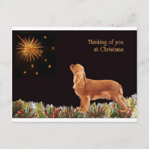Cartes Pour Fêtes Annuelles Ruby Christmas Cavalier