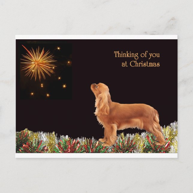 Cartes Pour Fêtes Annuelles Ruby Christmas Cavalier (Devant)