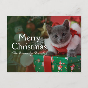 Cartes Pour Fêtes Annuelles Russian Blue Kitten et Christmas