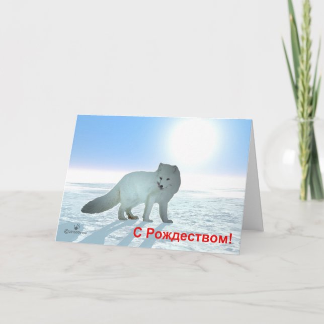 Cartes Pour Fêtes Annuelles S Rozhdestvom - Fox arctique (Devant)