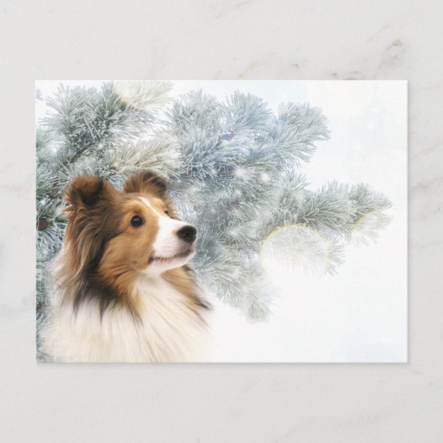 Cartes Pour Fêtes Annuelles Sable Shelter Noël (Devant)