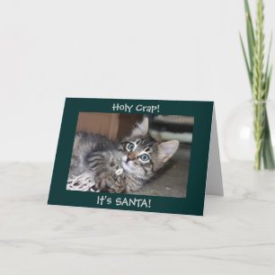 Cartes Pour Fêtes Annuelles Sacrée merde C'est Père Noël Kitten Christmas Card