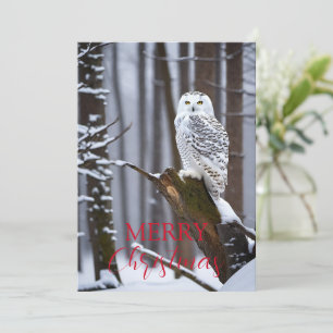 Cartes Pour Fêtes Annuelles Sage Hibou dans un Paysage Hivernal Enneigé