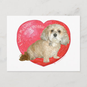 Cartes Pour Fêtes Annuelles Saint-Bernard / Caniche Mix Saint-Valentin