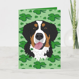 Cartes Pour Fêtes Annuelles Saint Patrick’s Day Bernese Mountain Dog