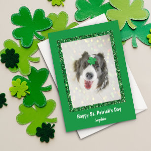 Cartes Pour Fêtes Annuelles Saint Patrick's Day Chien Lucky Green Shamrock