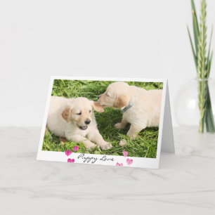 Cartes Pour Fêtes Annuelles Saint Valentin Chiens mignons Chiens Chiot Love