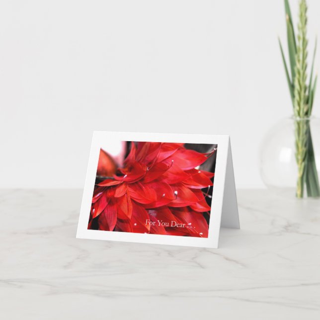 Cartes Pour Fêtes Annuelles Saint-Valentin Coeur de plumes rouges (Devant)