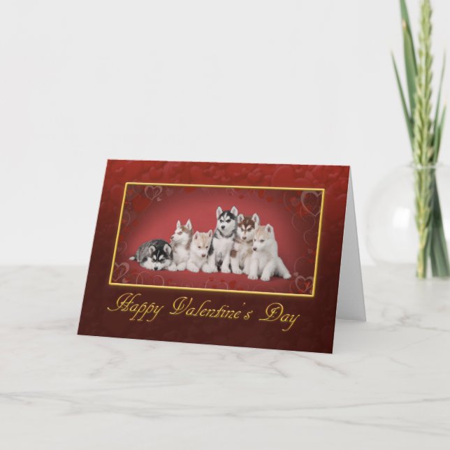 Cartes Pour Fêtes Annuelles Saint-Valentin de Huskys (Devant)
