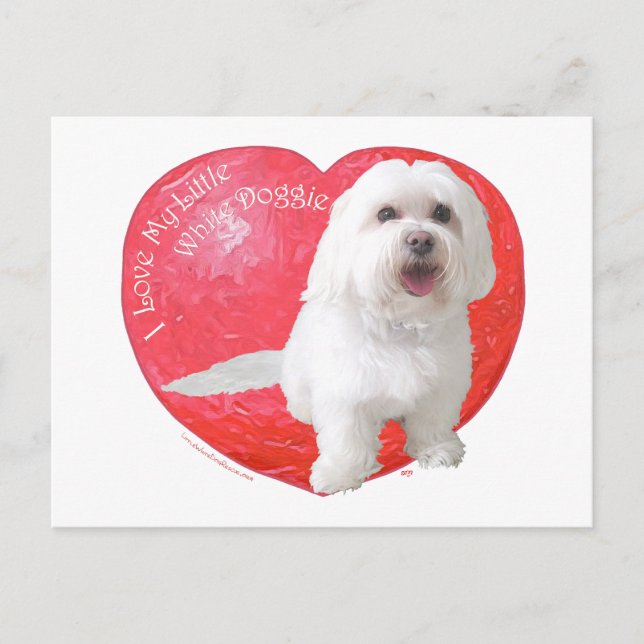 Cartes Pour Fêtes Annuelles Saint Valentin Havanais (Devant)