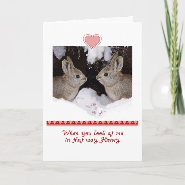 Cartes Pour Fêtes Annuelles Saint Valentin, humoristique, deux lapins (Devant)