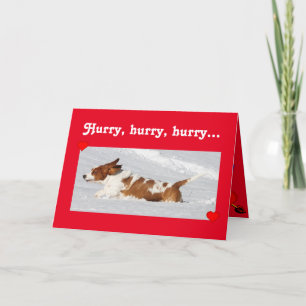 Cartes Pour Fêtes Annuelles Saint Valentin mignonne avec Basset Hound amusant 