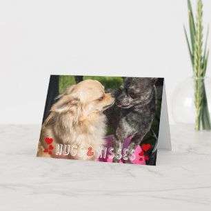 Cartes Pour Fêtes Annuelles Saint Valentin mignonne Chien Photo Hugs et Baiser