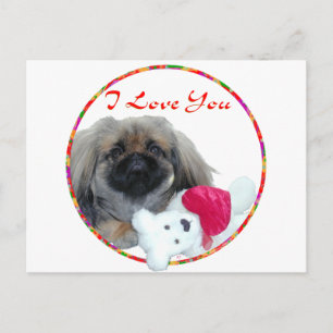 Cartes Pour Fêtes Annuelles Saint-Valentin Pékinois