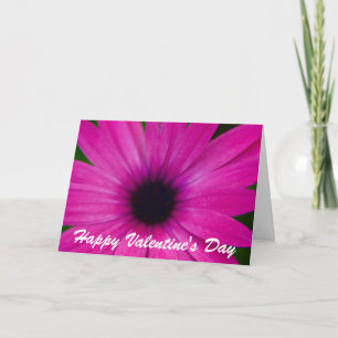 Cartes Pour Fêtes Annuelles Saint-Valentin rose