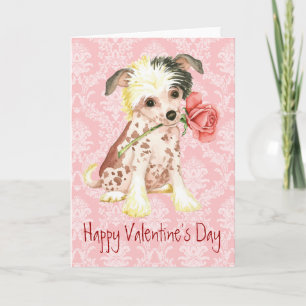 Cartes Pour Fêtes Annuelles Saint Valentin Rose Chinois arrêté