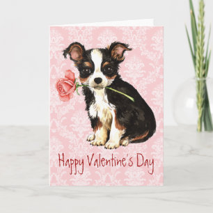 Cartes Pour Fêtes Annuelles Saint-Valentin Rose long manteau Chihuahua