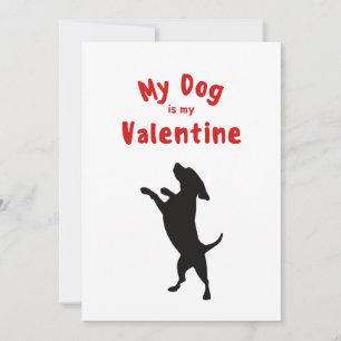 Cartes Pour Fêtes Annuelles Saint-Valentin XOXO Mignon Animal Chien Toutou Pho