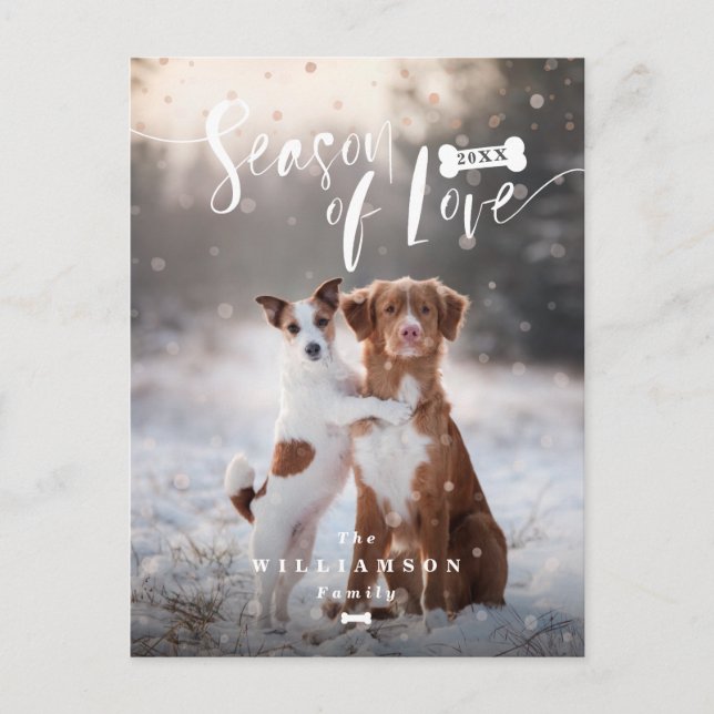 Cartes Pour Fêtes Annuelles Saison de Noël élégant d'animaux familiers de (Devant)
