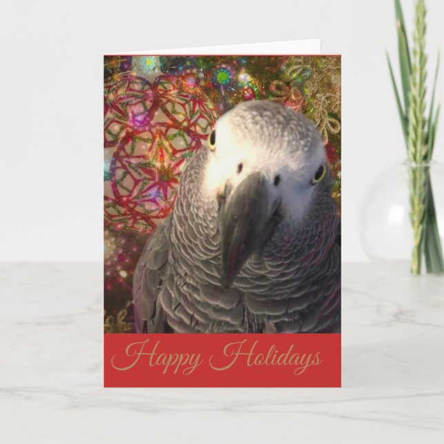 Cartes Pour Fêtes Annuelles Saison de vacances pour les perroquets gris d'Afri (Devant)